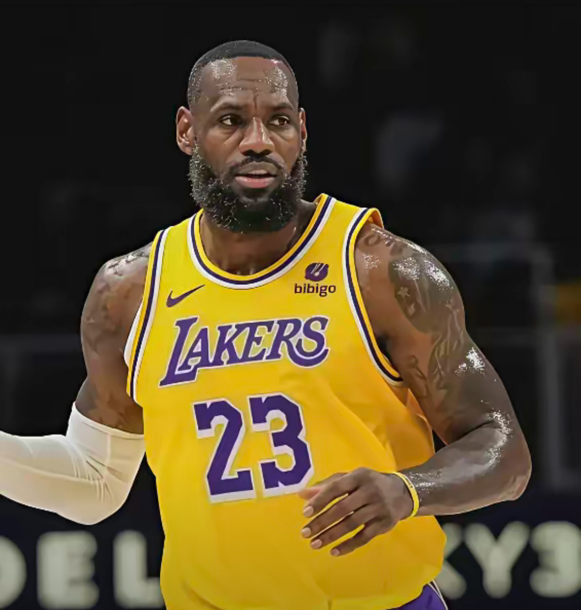 湖人客场不敌猛龙，詹姆斯无奈失利的简单介绍